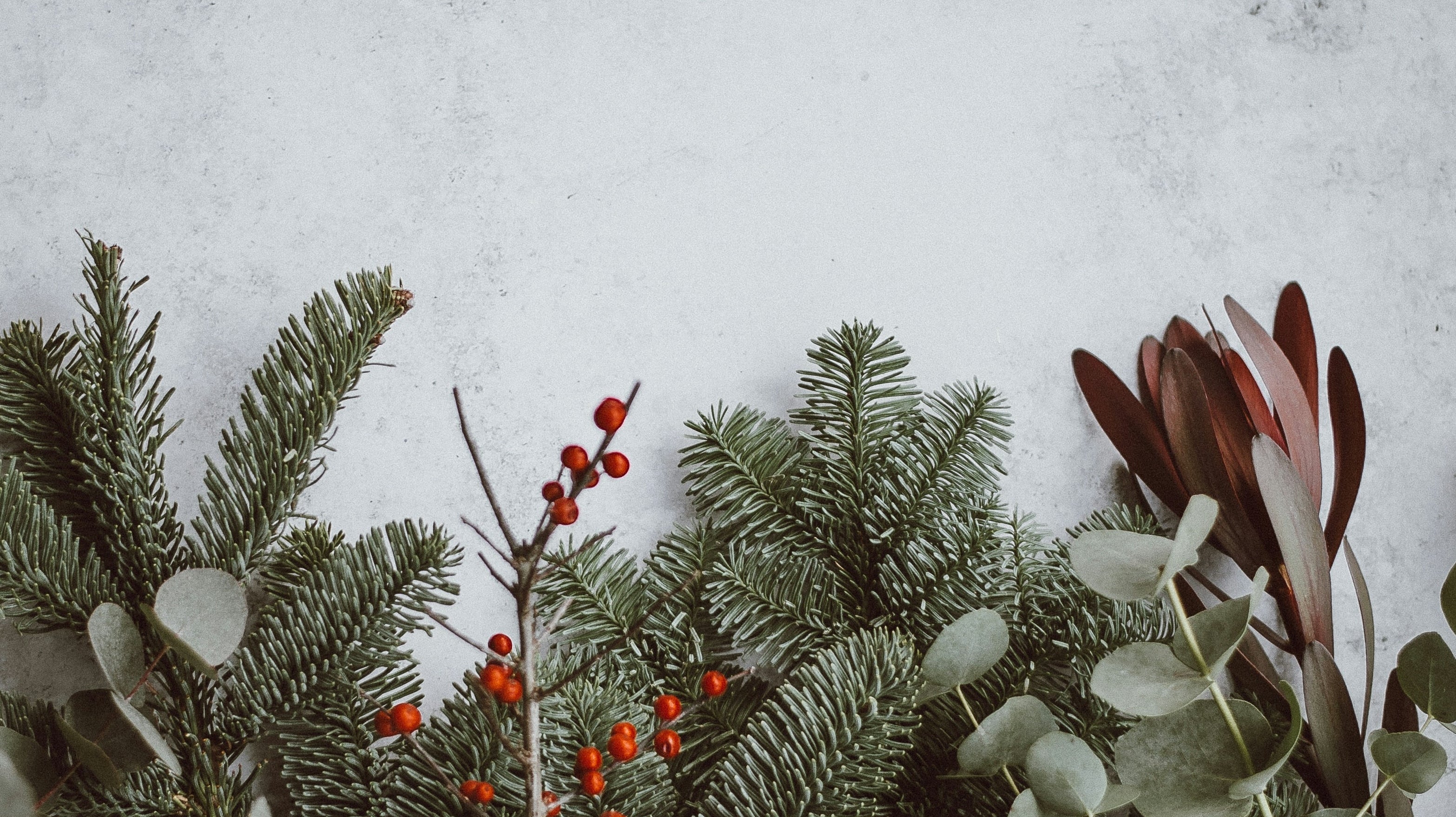 Yule enjoy learning about Pagan Origins of Christmas traditions!