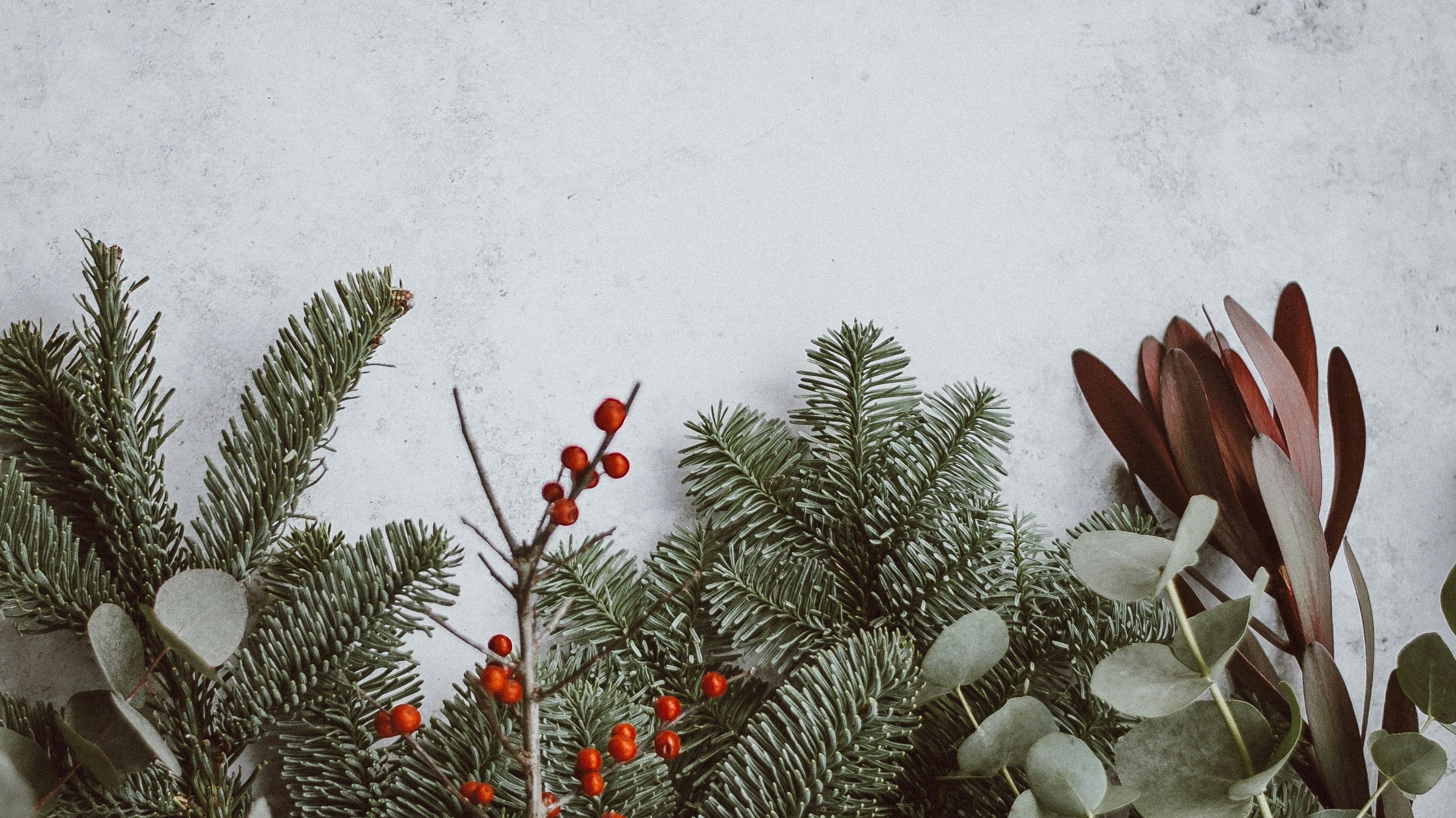 YULE ENJOY LEARNING ABOUT PAGAN ORIGINS OF CHRISTMAS TRADITIONS!