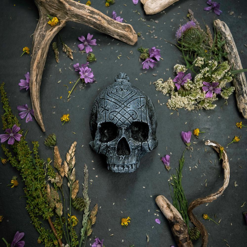 Carved Norse skull with Viking runes, surrounded by antlers, dried flowers, and herbs on dark stone.