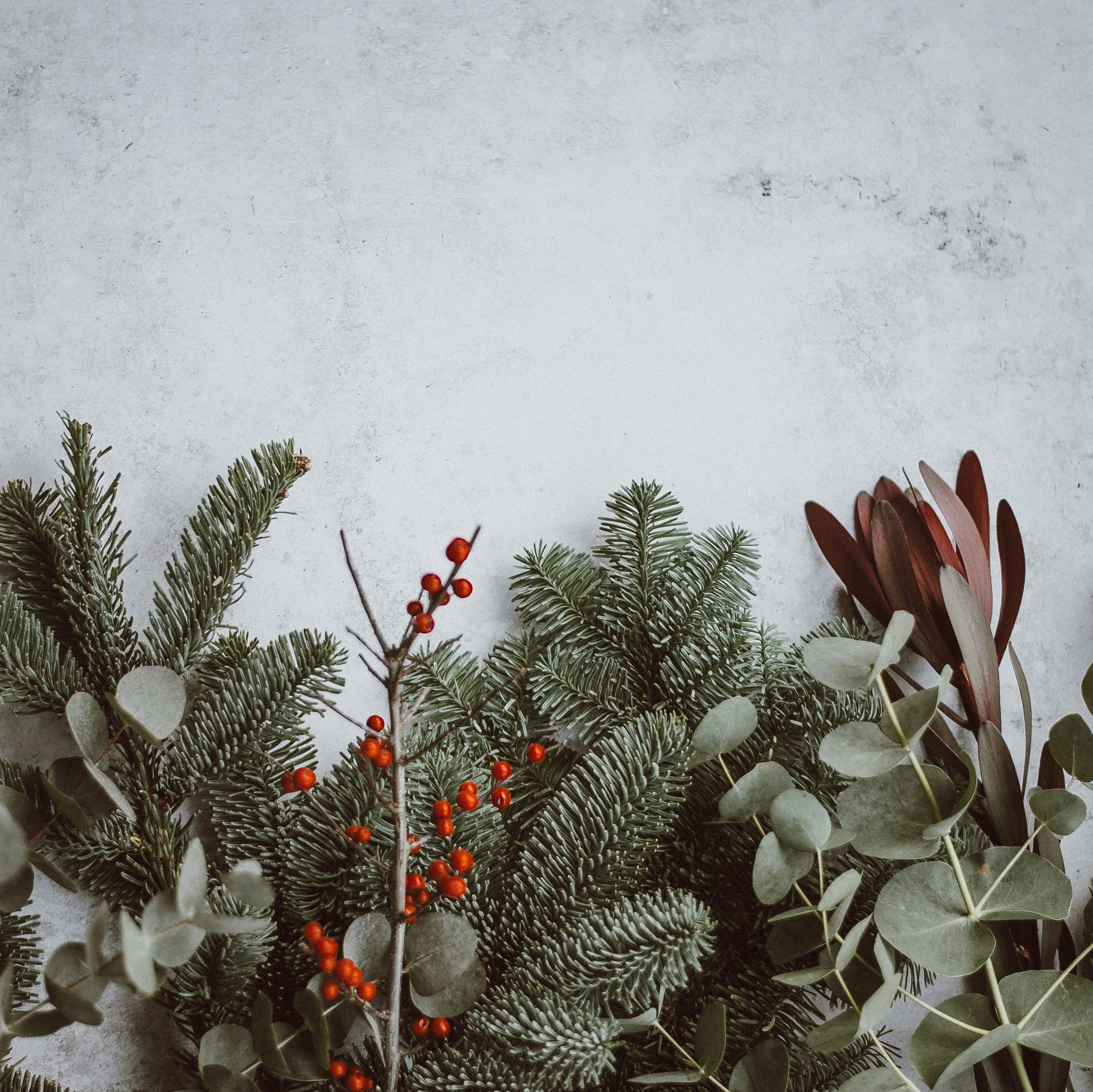 YULE ENJOY LEARNING ABOUT PAGAN ORIGINS OF CHRISTMAS TRADITIONS!